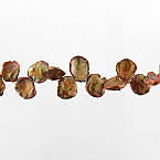 Cultured Fresh Water Touch of gold tone and green Top drilled Keshi Pearl 15-20mm - 16 Inch Strand
